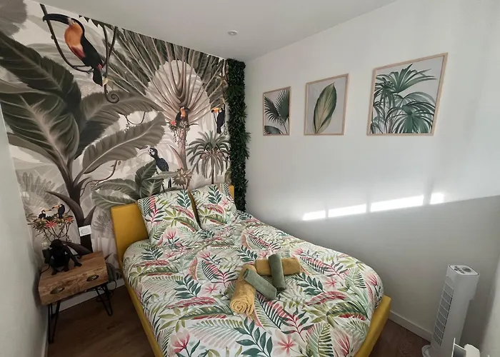 Studio Jungle - Hyper Centre Lorient
